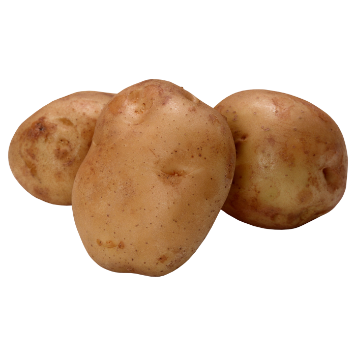 بطاطس